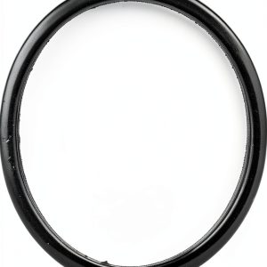 AISIN Engine Thermostat Gaskets for Lexus-0