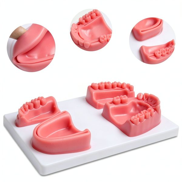 Kouyot Dental Suture Training Gum Silicone Model White 4 Pads-1