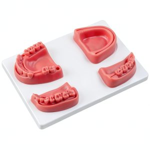 Kouyot Dental Suture Training Gum Silicone Model White 4 Pads-0