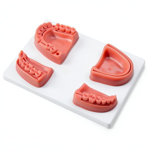 Kouyot Dental Suture Training Gum Silicone Model White 4 Pads-5