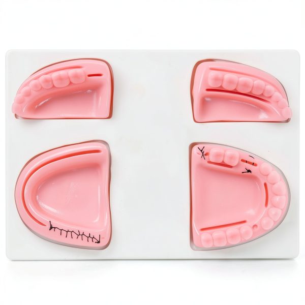 Dental Suture Training Kit Ultrassist Gum and Gingival Suturing Pads-2