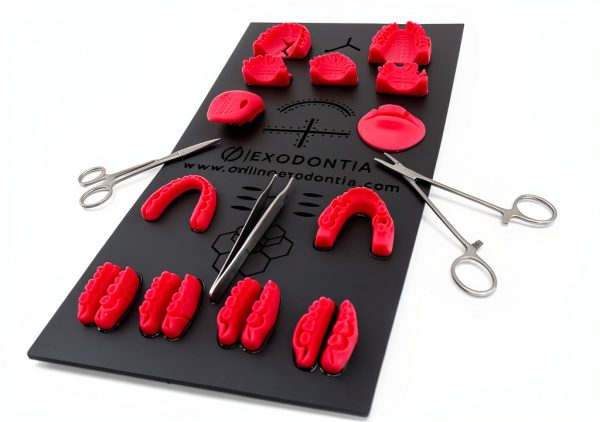 Dental Suture Pad Trainer Premium Silicone Envelope Triangular Flaps-0